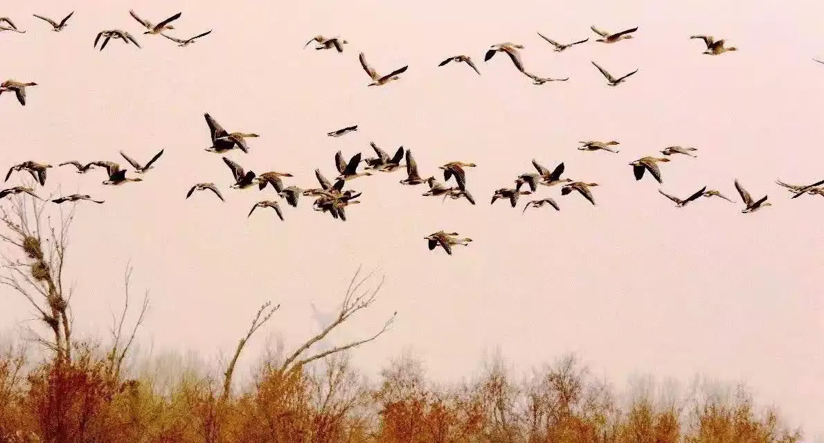 ����ľ����.������  ���Ͻ��� 154834il2aovooa6oo6ual