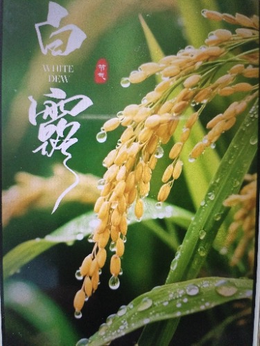 ��¶���ͣ�����֪ζ  ɢ����� 104616m2qtccstzhktskq9