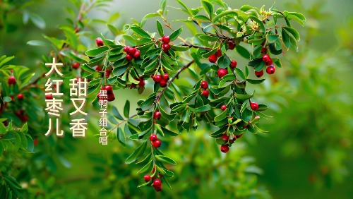 ������������  ɢ����� 141137m0iwkt7ok9te9d7e