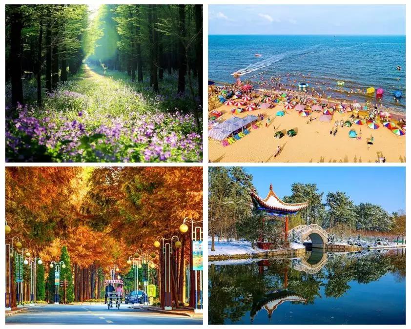 �����жȼ������ͼ���  ɢ����� 091209v46nyzwyweoyx46t