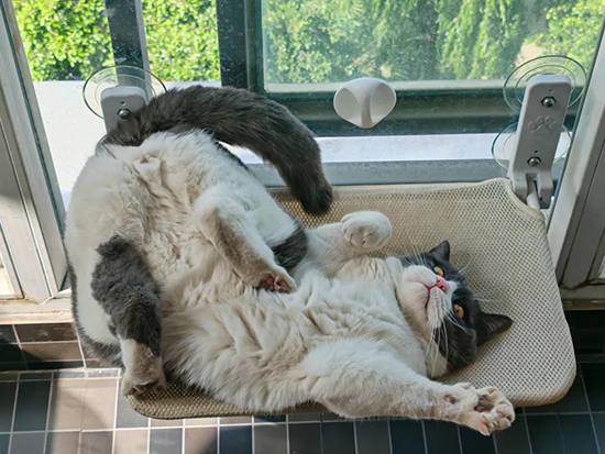 ʱ��53.˭�������ҵ�����  �ִ�ʫ�� 120733pjzok8zomvuqvj2m