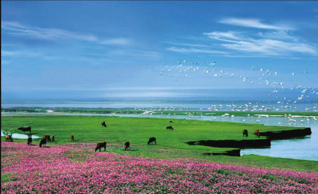 �����е�۶���黳  ɢ����� 091107kk4k7tdtqjb26z6l