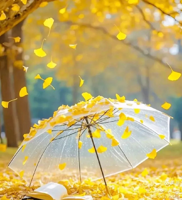 ���ֻ�ʱ��������¥  ɢ����� 101958xl5axnsqtd0578gg