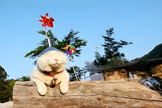 ��  �ִ�ʫ�� 123346ol8pyiuabvuz8ooq