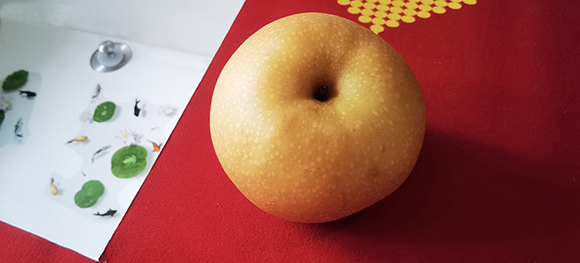 �����棨�ŷ磩  ���Ͻ��� 131900ibvzrvks7bzp9phb