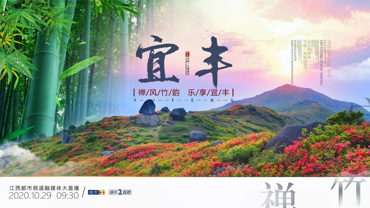 ��������������̬֮��  ɢ����� 082606r814mj8601dff41h