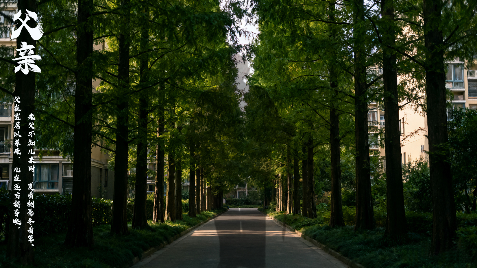 ����  ���Ͻ��� 114052ivklfitymm4mtkvn