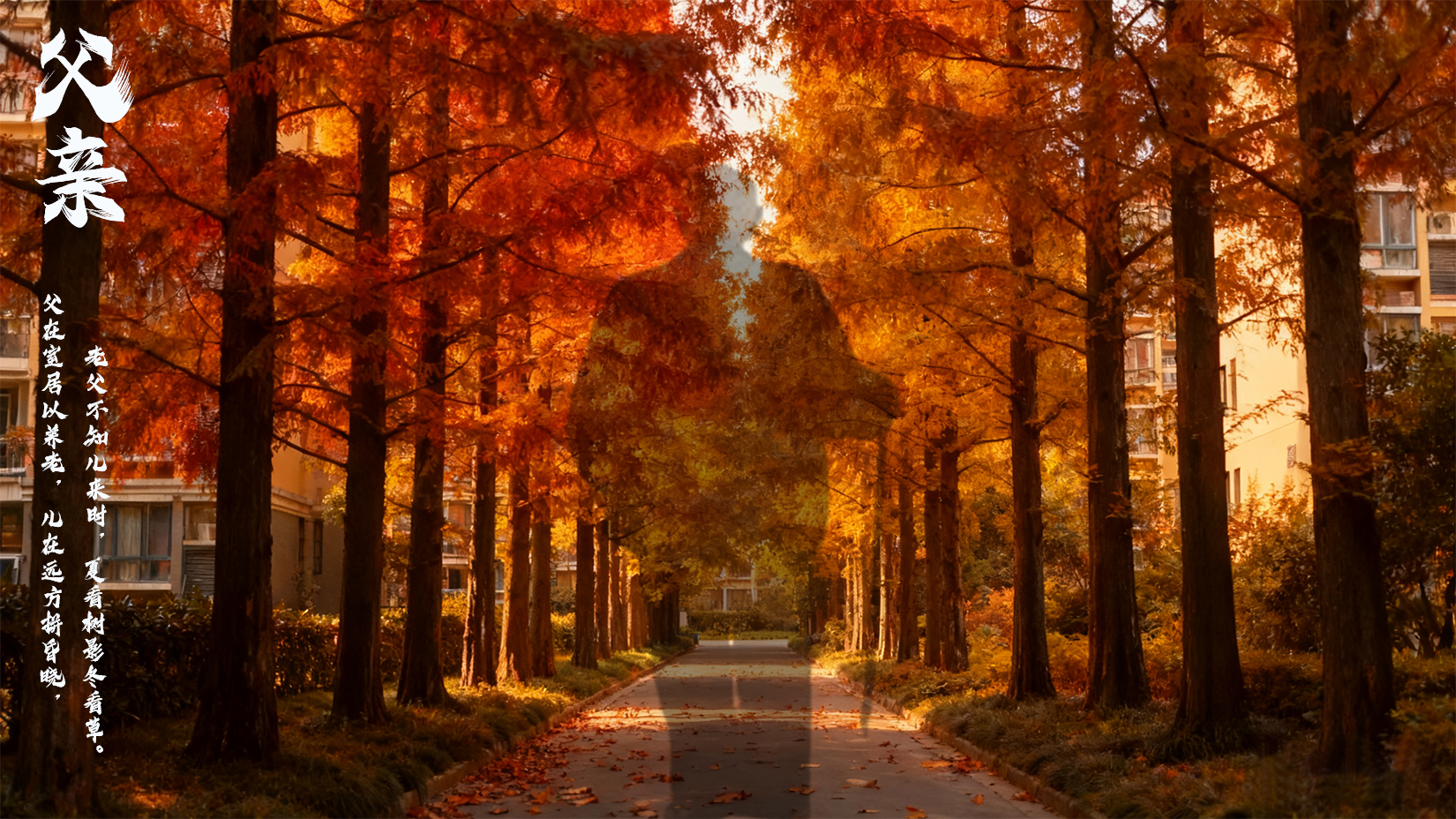 ����  ���Ͻ��� 114059wa1v1yb7vaayb1bf