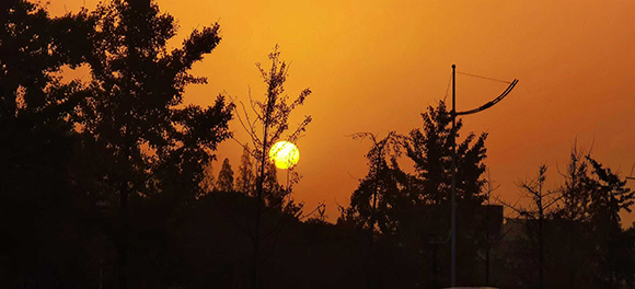 С��ױ  ���Ͻ��� 113135ymhl87176w35lpz3