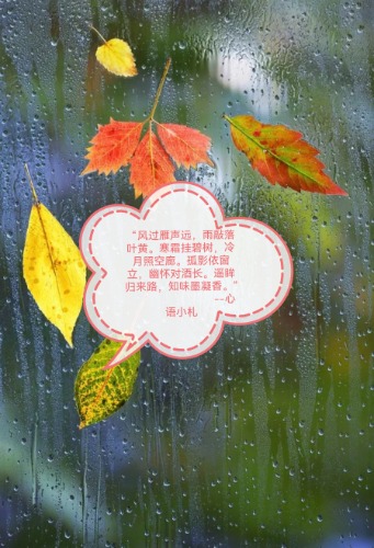 �������Զ��������Ҷ��  ɢ����� 212914tcou2afc41u5ja1f