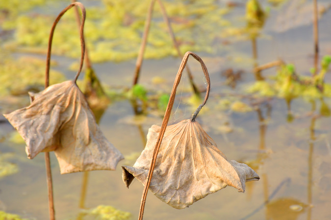 �к�����  ɢ����� 173100hfd2mpdudkrucmjj