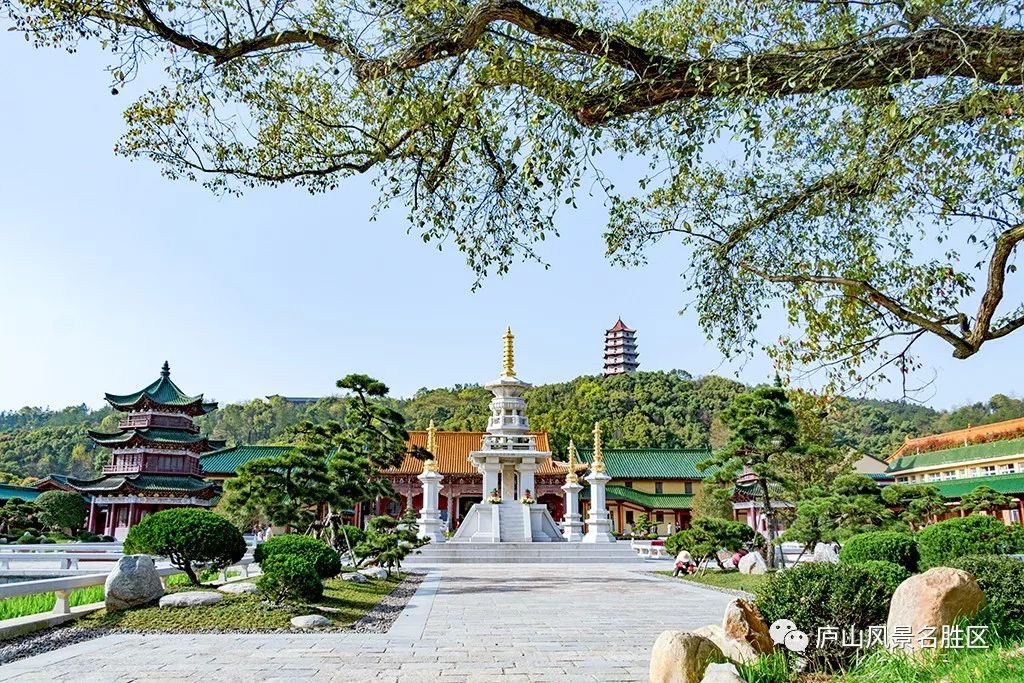 ����ǧ���ɲ�ľ���  ɢ����� 080248yab8wktabszj46l6