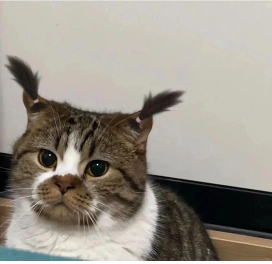 ʱ��54.ͯ��  �ִ�ʫ�� 111834oz3i22ss2brzrim5