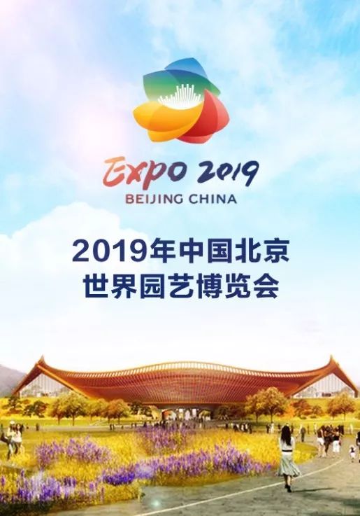 ���־��������  ɢ����� 