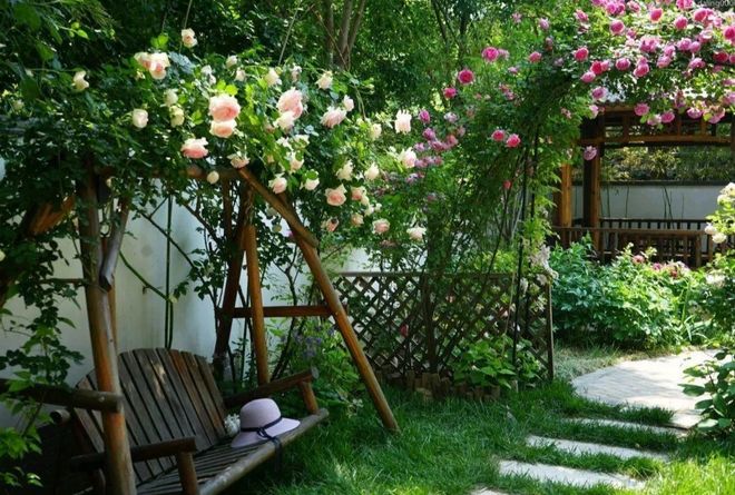 ���벻���ı仯  ɢ����� 113454t15ooty51ddodg9t