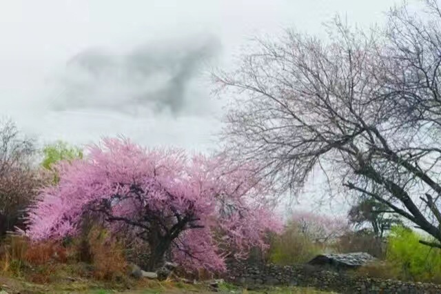 ÷�����˼  �������� 190032pwv755fwe0glc7r7