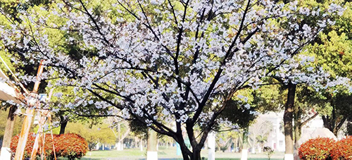 �߾�������ӣ��  ���Ͻ��� 120029zb4d0zdudgmgd115