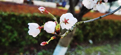 �߾�������ӣ��  ���Ͻ��� 120030jnmmmvemz666pji6