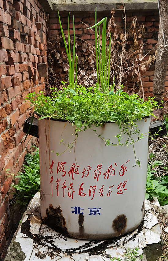 老屋2.jpg 老屋2.jpg