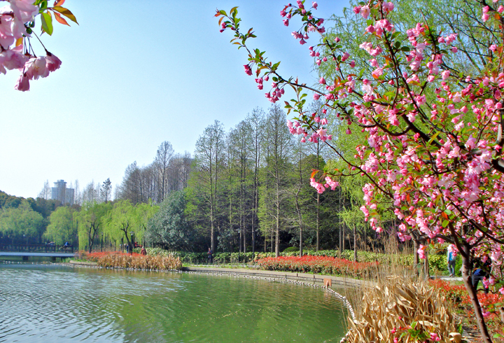 a3d4e8bb5d524d66967ff49a54c19e25_100285977_1533022964461_mthumb.jpg a3d4e8bb5d524d66967ff49a54c19e25_100285977_1533022964461_mthumb.jpg