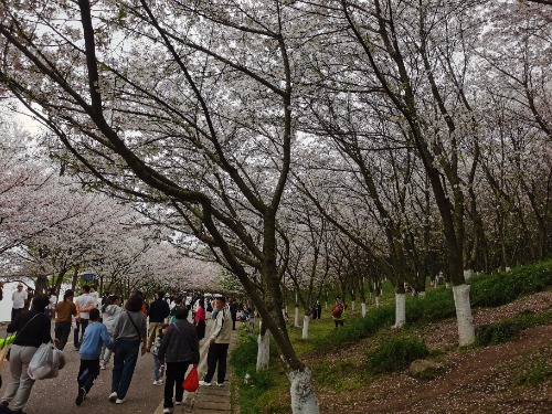 IMG_20260329_154953.jpg IMG_20260329_154953.jpg