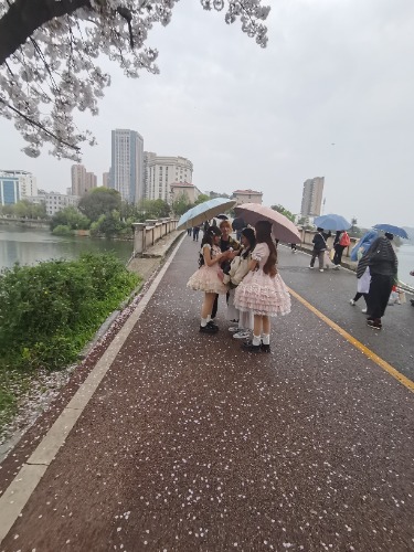 IMG_20260329_163008.jpg IMG_20260329_163008.jpg