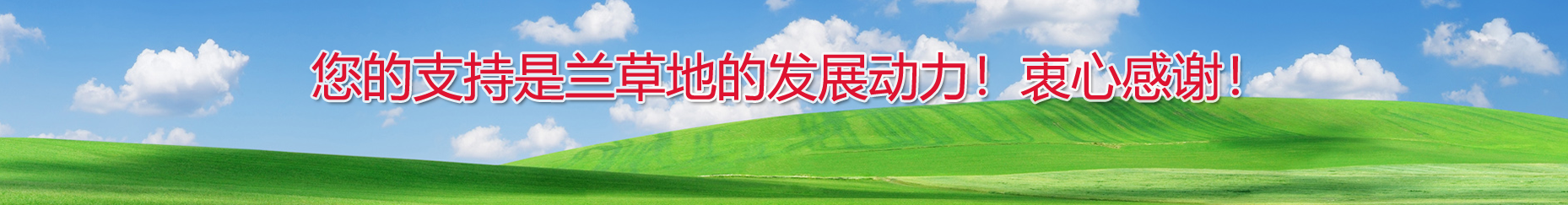 ������վ������������л���ǵ�������  �������� 110412s14mxlaan34gzoch