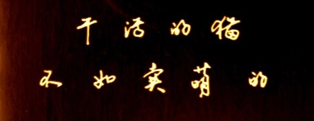 �ɻ��è���������ȵ�  Ͷ��ר�� 