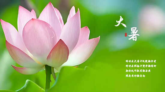 12.24����24�仨24ʫ��������ɻ�1.jpg
