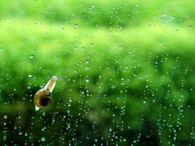 0415apic299_sc115.com.jpg