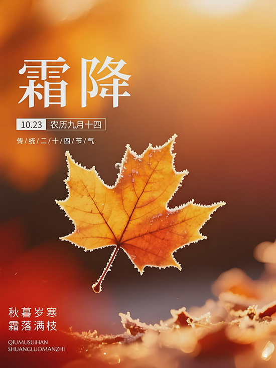 18.24����24�仨24ʫ����˪����ľܽ��2.jpg
