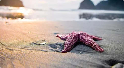 ������һ·���� һ·����