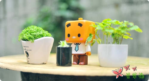 �����п����ۣ���Ҫ΢Ц���