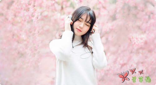 �������ܶ����⣬ ����ֻ������