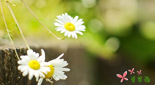 ���ݱ��ˣ����ܿ����Լ�