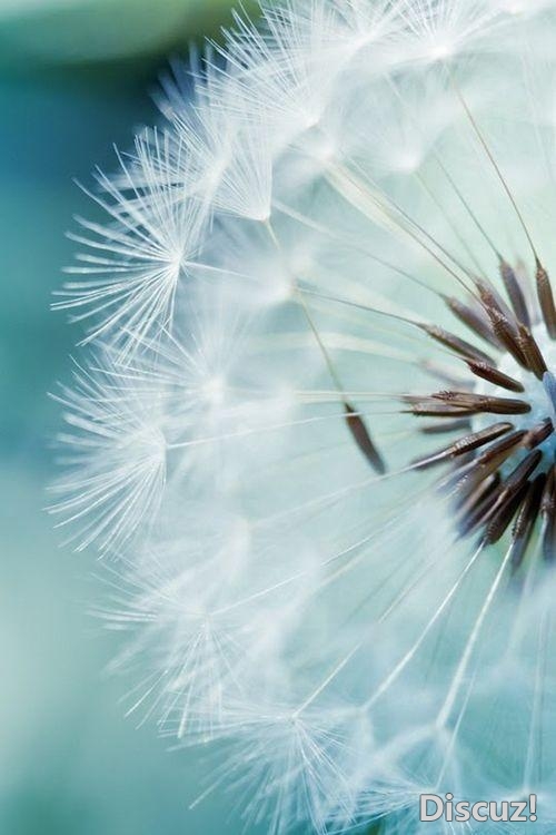 ����и��˶����ر�ã��ǵ�ǧ�����Ǹ���Ū����